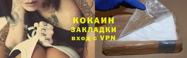 твердый Алексин