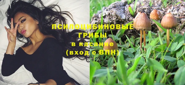 марки lsd Алзамай