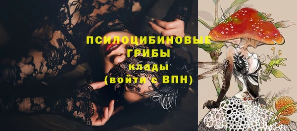 твердый Алексин