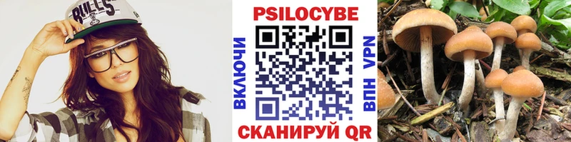 Псилоцибиновые грибы мицелий  Карабулак 