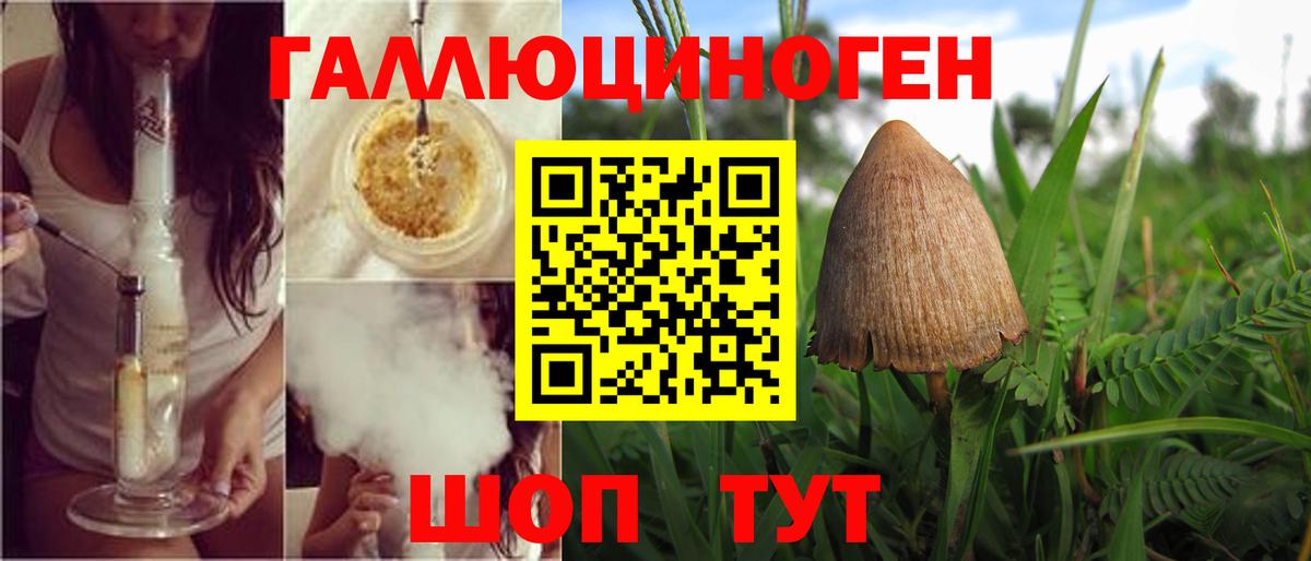 Карабулак  где продают   Вход с VPN  Галлюциногенные грибы прущие грибы 